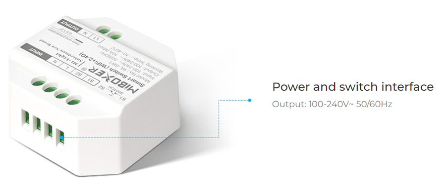 WL-SW1 WiFi+2.4G Push Smart Alexa Switch